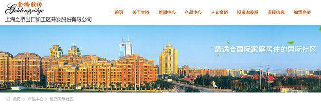 楼处电线金桥碧云澧悦销售中心尊龙AG网站金桥碧云澧悦售(图11)